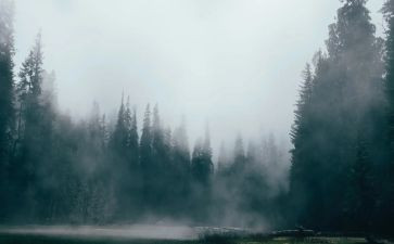 雾中班科学教案7篇