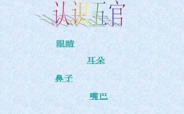 五官的教案6篇