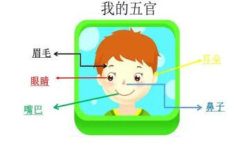 五官争功作文300字7篇