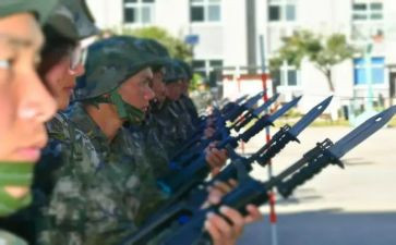 武警2024半年总结5篇