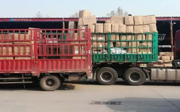 物流实习报告6篇