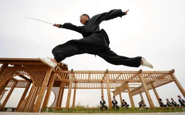武术协会工作总结5篇