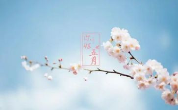 五月策划活动方案8篇