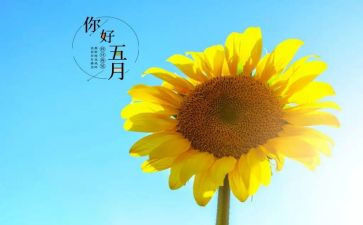 五月月工作总结7篇