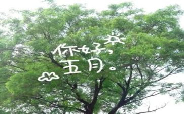 幼儿园中班五月份工作计划5篇