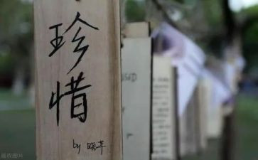 珍惜青春的作文5篇