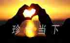 失去才懂珍惜作文5篇