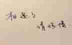 我珍惜作文800字7篇