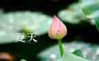 难忘的夏天作文800字6篇