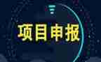 项目报告总结优秀6篇