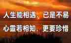 与的我相遇作文通用6篇