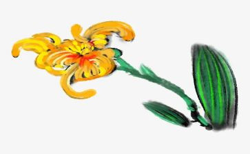 嗯描写仙人掌的作文7篇