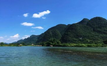 《先生》读后感800字5篇