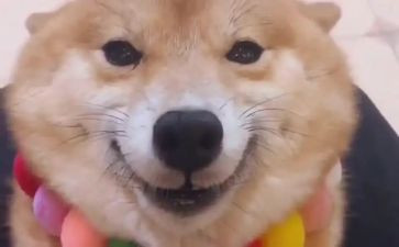 微笑应对生活演讲稿7篇
