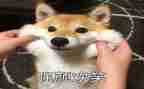 微笑周的活动策划6篇