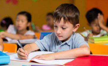 幼儿园小班周工作总结优秀8篇