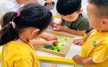 小班教学计划和工作计划优秀6篇