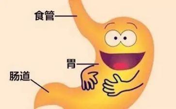 消化内科工作计划范文5篇