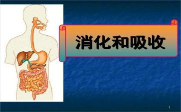 消化内科的出科自我鉴定6篇