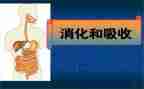 消化内科出科的自我鉴定6篇