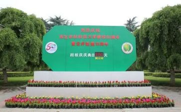 2023校庆活动策划8篇