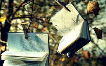 优秀的小说作文8篇