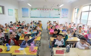 2024年小学生心得体会精选8篇