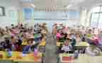小学数学个人述职报告最新5篇