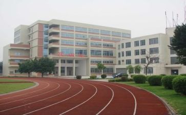 校园的生活600字作文精选6篇