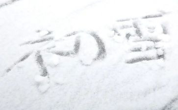 下雪的作文5篇