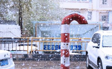 下雪了作文300字7篇