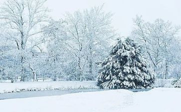 写下雪的作文600字6篇