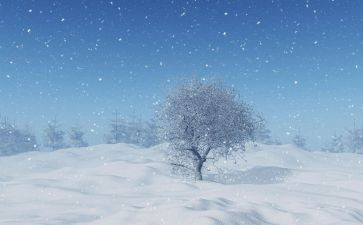 写下雪啦的作文8篇