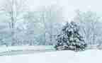 写下雪的作文600字6篇