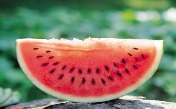 大西瓜幼儿园教案6篇