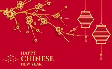 新的一年新的我作文优秀7篇