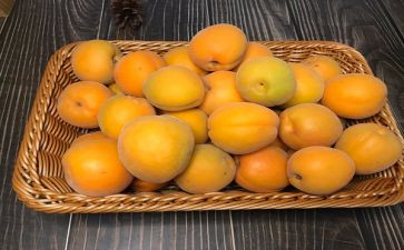 有关于杏花的作文推荐8篇