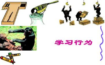 学校规范办学行为自查报告优秀6篇