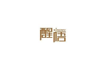 醒悟作文7篇