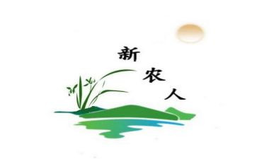 新农村建设的调查报告精选5篇