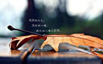我的喜心情作文8篇