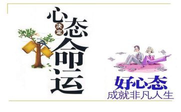狼的心态的心得体会精选8篇