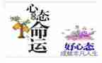 狼的心态的心得体会精选8篇