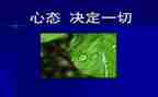 关于心态的作文800字8篇