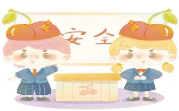我的心愿作文800字5篇