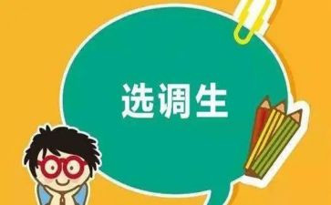 选调工作总结8篇