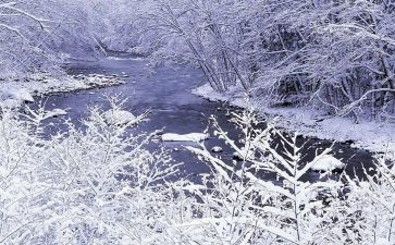 描写冬天雪的作文参考7篇
