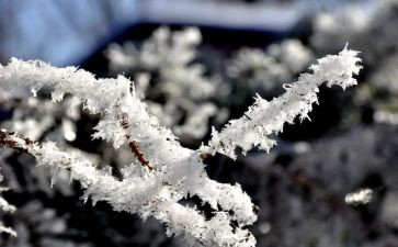 关于雪冬天的作文6篇
