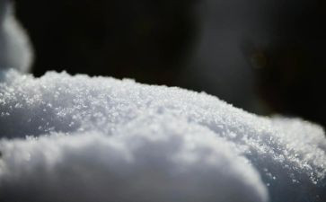 雪的优秀作文300字最新5篇