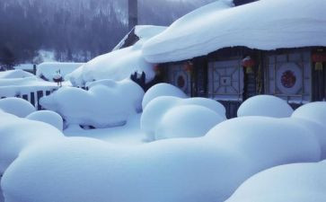 校园的雪作文高中800字8篇